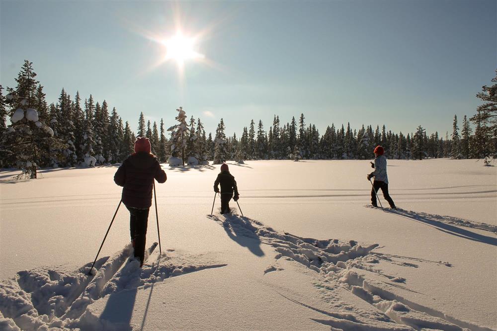 Bilder fra Åmot kommune - Klikk for stort bilde