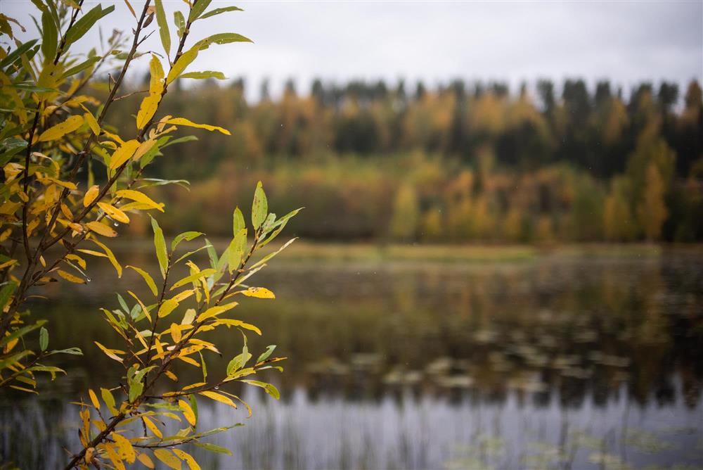 Bilder fra Åmot kommune - Klikk for stort bilde